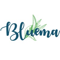 BLUEMA Infusions logo - Similar company to Sky Kitchens