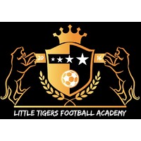 Little Tigers Football Academy LTFA logo - Similar company to Sportyminis