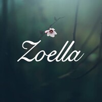 Zoella Clothing logo - Similar company to Anaya & Amal