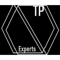 Transfer Pricing Experts logo - Similar company to Aspect Advisory