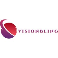 Vision Bling logo - Similar company to Techacademy Solution