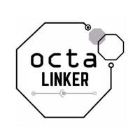 Octalinker logo - Similar company to 7Roars