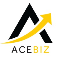 Acebiz VN logo - Similar company to Mirabo Tech