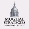 Mughal Strategies + Global Partners, LLC (MS Global) logo - Similar company to Ms Global Llc
