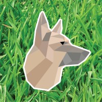 K9Sf, Llc