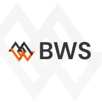 Binarywaves solutions logo - Similar company to Kash Tech