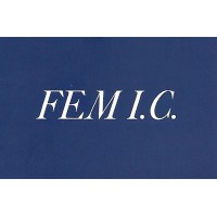 FEM International Consulting logo - Similar company to Afri Partners