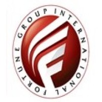 FORTUNE GROUP INTERNATIONAL logo - Similar company to Davmar Engineering Ltd