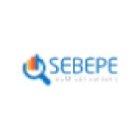 Consultant WebMarketing Sebepe logo - Similar company to Wooelse
