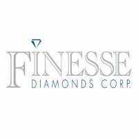 Finesse Diamonds Corp. logo - Similar company to GemCloud Software