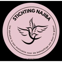 Stichting Najiba logo - Similar company to Stichting Bashierah