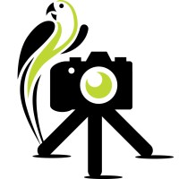 Camera Jungle Ltd