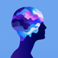 Psmilin logo - Similar company to Black Mountain Investment Group