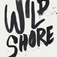 Wild Shore logo - Similar company to Total Studio