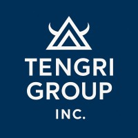 Tengri Group Inc logo - Similar company to Sericin