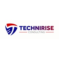 TechniRise Consulting Inc. logo - Similar company to Anchor Managed Solutions, Ltd.