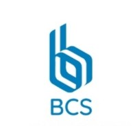 Binary Computer Systems logo - Similar company to Binary Group Co.