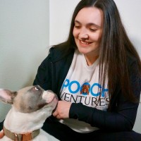 Pooch Ventures logo - Similar company to Tradevision (Acetrader Inc)