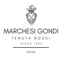 Marchesi Gondi logo - Similar company to Suavia