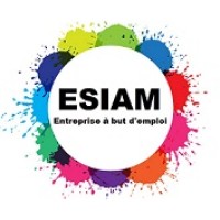 Esiam Ebe Mauléon logo - Similar company to Lemon