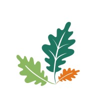 Fondo Forestale Italiano logo - Similar company to Agenzia Forestale Regionale Dell'Umbria Afor