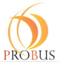 Probus IT Solutions India Pvt. Ltd. logo - Similar company to Probus Software Private Limited