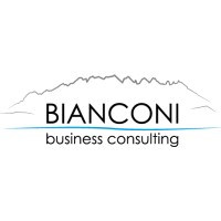Bianconi Business Consulting logo - Similar company to Bsc Consulting