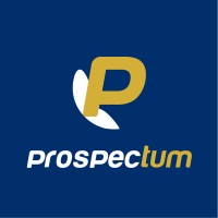 Prospectum logo - Similar company to Link Projet Performance