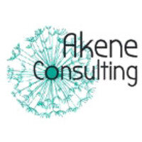 AKENE Consulting logo - Similar company to Le Lab Des Formateurs
