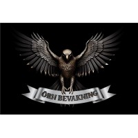 Örn Bevakning logo - Similar company to Civintec Global