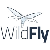 WildFly logo - Similar company to Quarkusio