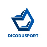 Dicodusport logo - Similar company to Impact Authentique