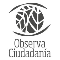 ObservaCiudadanía logo - Similar company to Espacio Lúdico