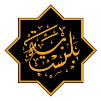 Balanceia logo - Similar company to Rizchem Engineering Solutions