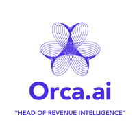 Orca AI logo - Similar company to Orca Ai