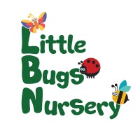 Little Bugs Ltd logo - Similar company to Wildfire - Experts In Change