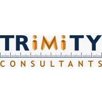 Trimity consultants logo - Similar company to Cmlc Consulting, Llc