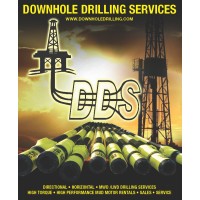 Downhole Drilling Services, LLC logo - Similar company to Downhole Tools Eds, S.A. De C.V.