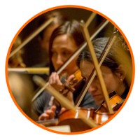 Albany Symphony logo - Similar company to Imagine Autos