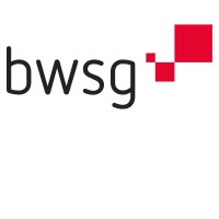 BWSG logo - Similar company to Value One
