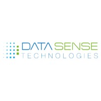 Datasense technologies logo - Similar company to Softwings Technologies