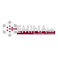 EMINA Lab logo - Similar company to Department Of Applied Physics, Polyu