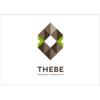 Thebe Investment Corporation logo - Similar company to Fnb Academy