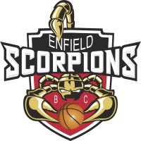 Enfield Scorpions logo - Similar company to Mainland Transport