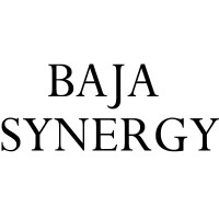 Baja Synergy