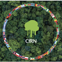 Coalition for Rainforest Nations logo - Similar company to Itmo Ltd.