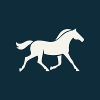 Triad Vacation Rentals logo - Similar company to Twinkle Trees
