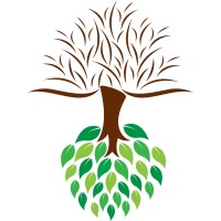 Radical Innovations Group logo - Similar company to Sthaniya