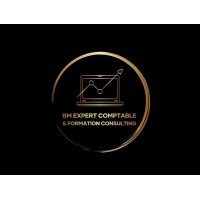 BM FISCALITE CONSULTING FORMATION EXPERTISE COMPTABLE logo - Similar company to Comptable Et Conseiller Fiscal