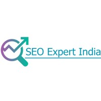 SEO Expert India | Web Development & SEO Services logo - Similar company to Sv Web Development